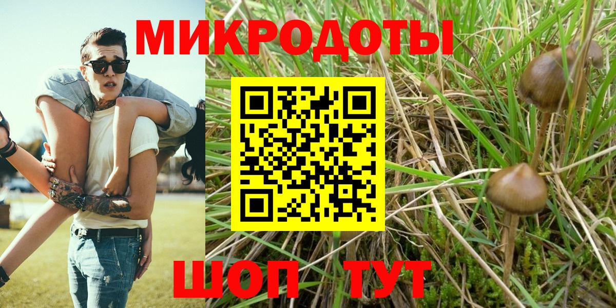 Псилоцибиновые грибы Cubensis  Вход с VPN  Всеволожск 